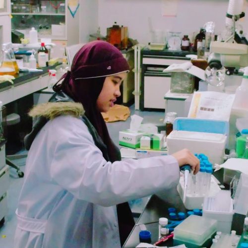 Dr. Elvira Hermawati