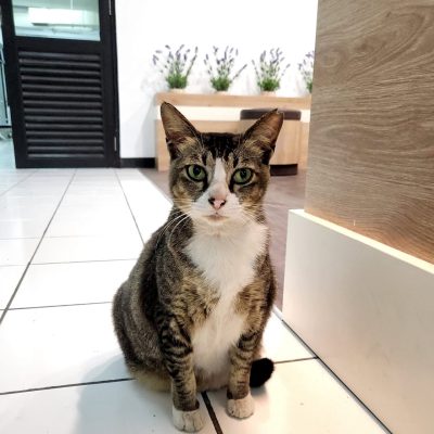 Member Nduty 4th Year (Non-official Member)